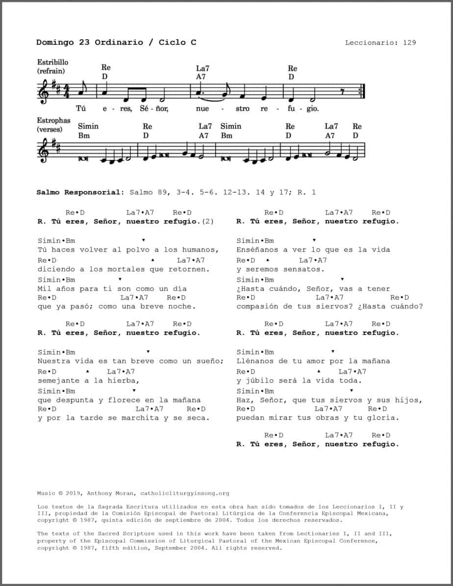 Domingo 23 Ordinario C - Salmo 89 - Tú eres, Señor, nuestro refugio - Image 2