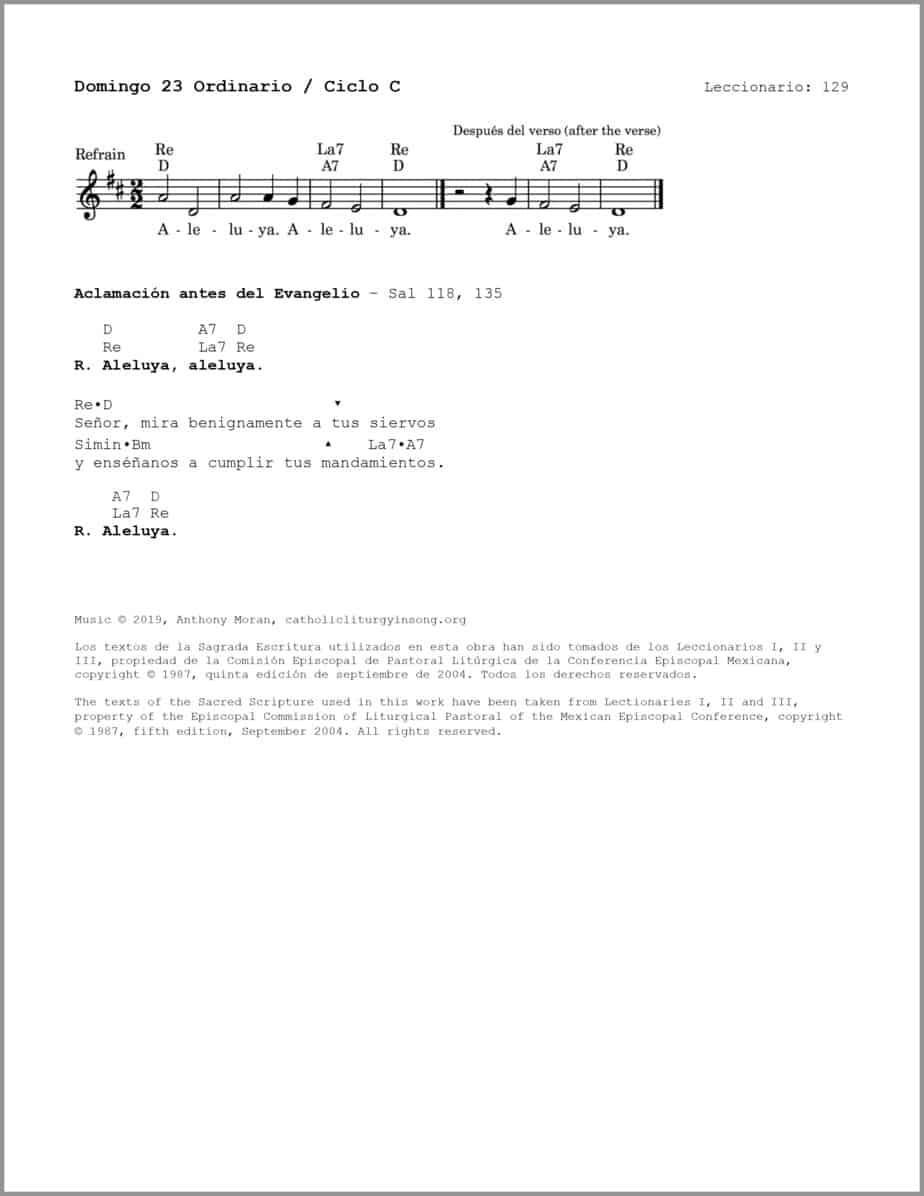 Domingo 23 Ordinario C - Salmo 89 - Tú eres, Señor, nuestro refugio - Image 3