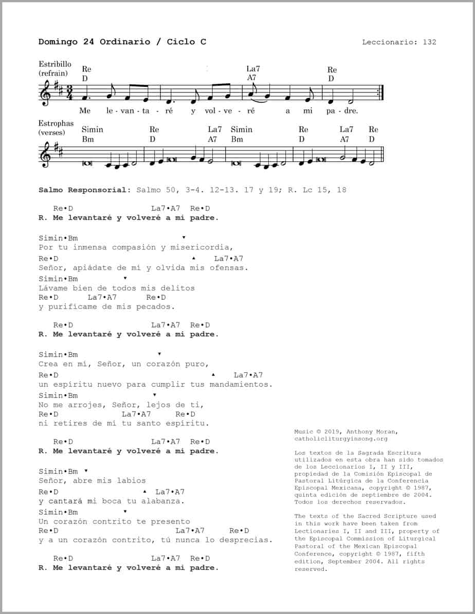 Domingo 24 Ordinario C - Salmo 50 - Me levantaré y volveré a mi padre - Image 2