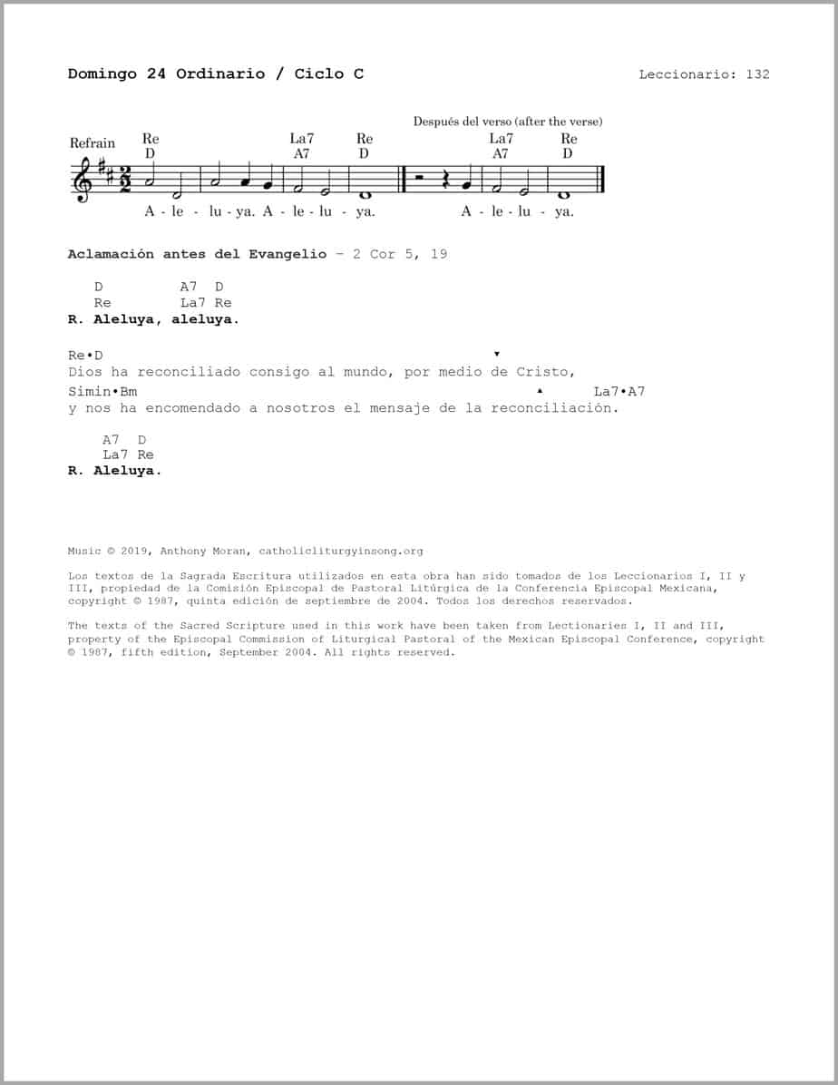 Domingo 24 Ordinario C - Salmo 50 - Me levantaré y volveré a mi padre - Image 3
