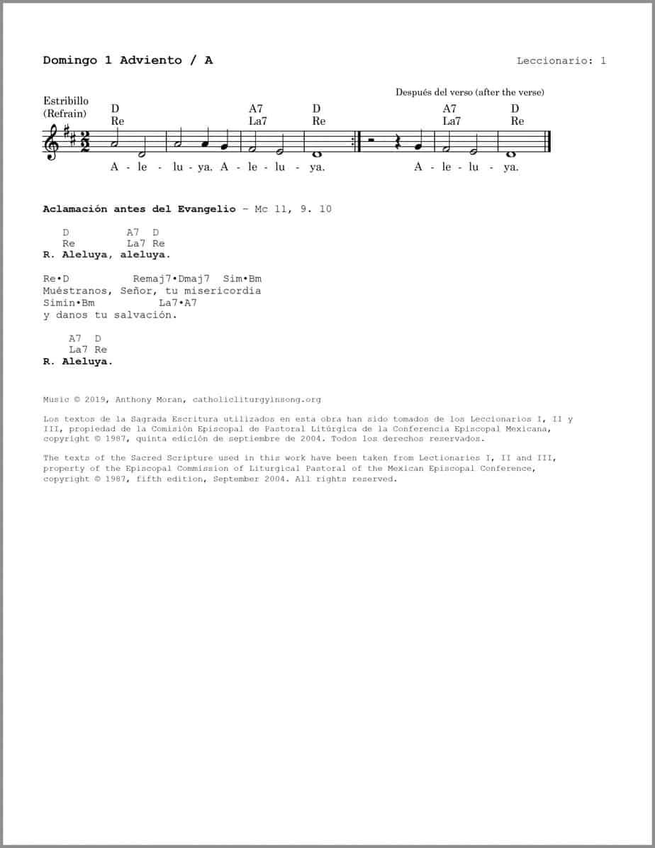 Domingo 1 Adviento A - Salmo 121 - Vayamos con alegría al encuentro del Señor - Image 3