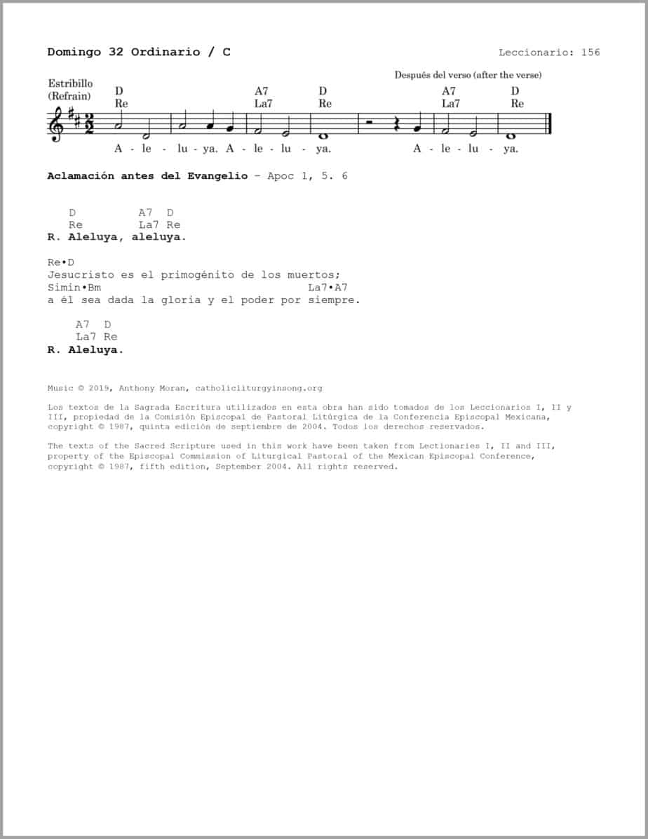 Domingo 32 Ordinario C - Salmo 16 - Al despertar, Señor, contemplaré tu rostro - Image 3