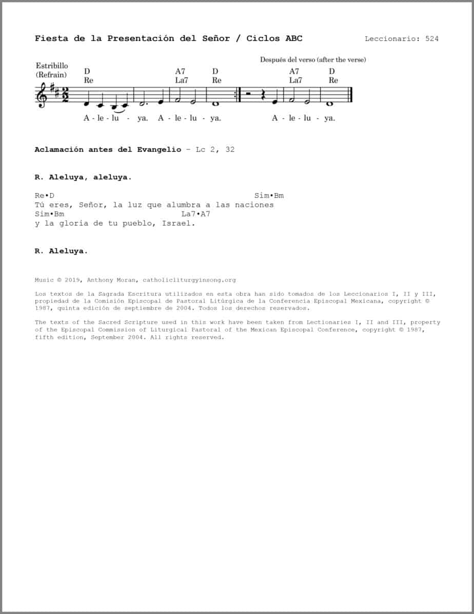 Fiesta de la Presentación del Señor ABC - Salmo 23 - El Señor es el rey de la gloria - Image 3