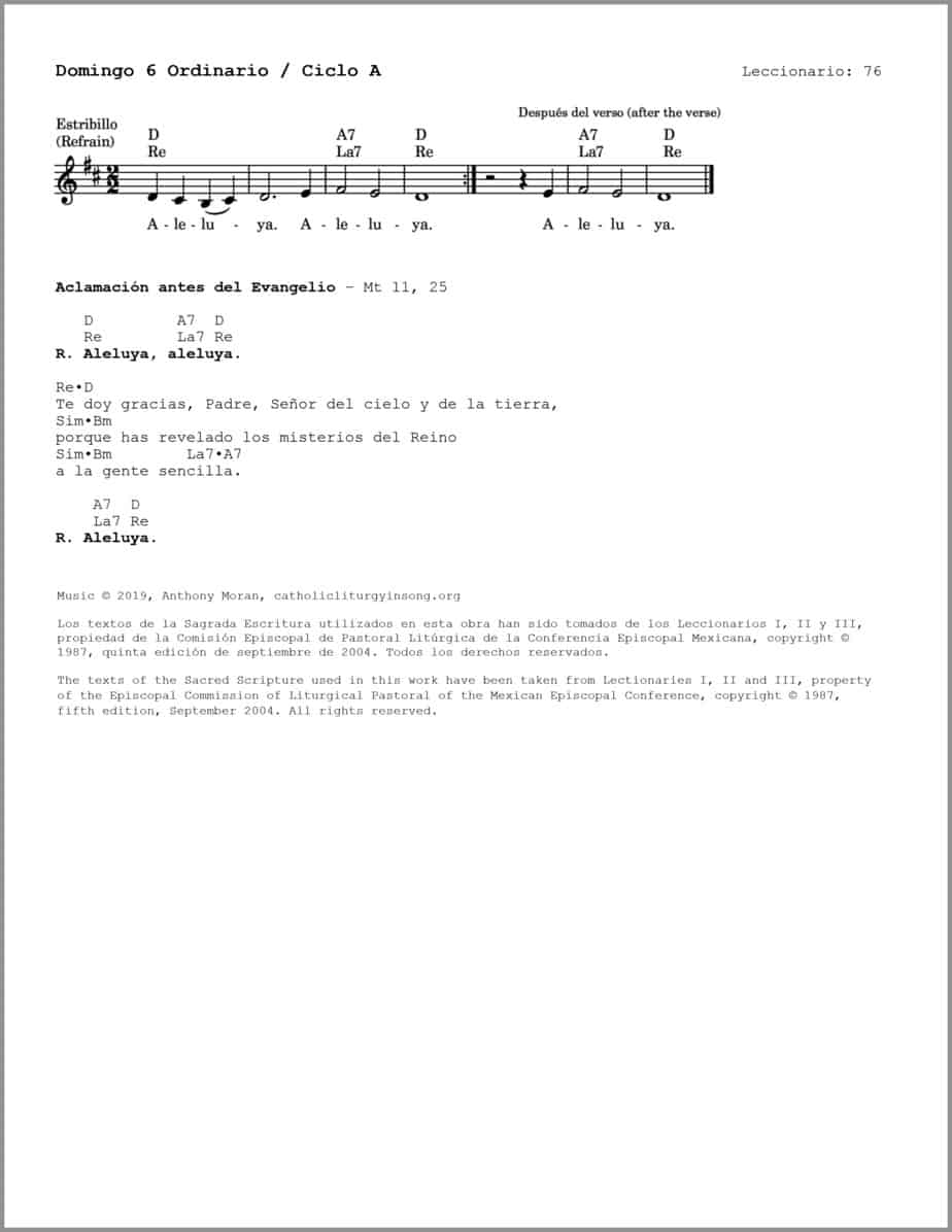 Domingo 6 Ordinario A - Salmo 118 - Dichoso el que cumple la voluntad del Señor - Image 3