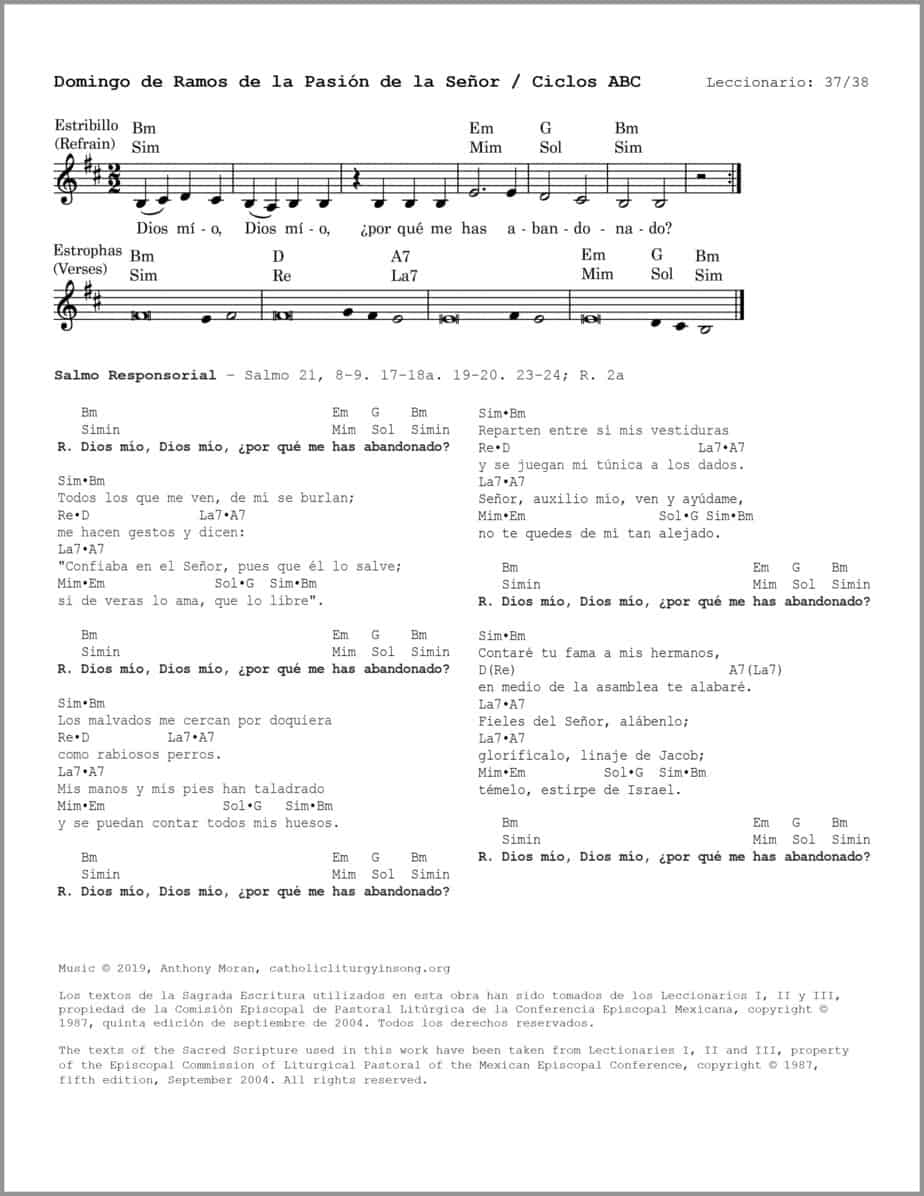 Domingo de Ramos ABC - Salmo 21 - Dios mío, ¿por qué me has abandonado? - Image 2