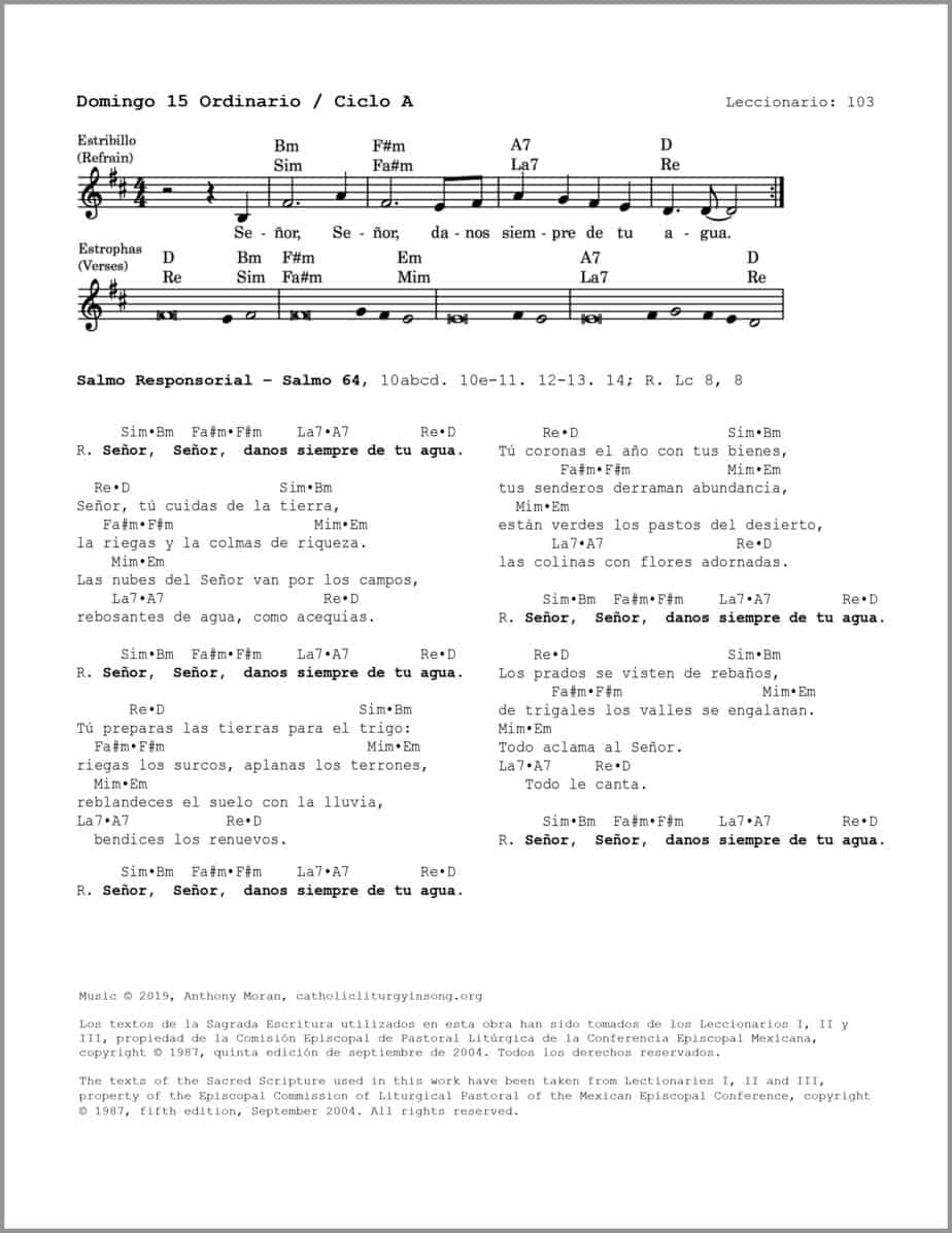 Domingo 15 Ordinario A - Salmo 64 - Señor, danos siempre de tu agua - Image 2