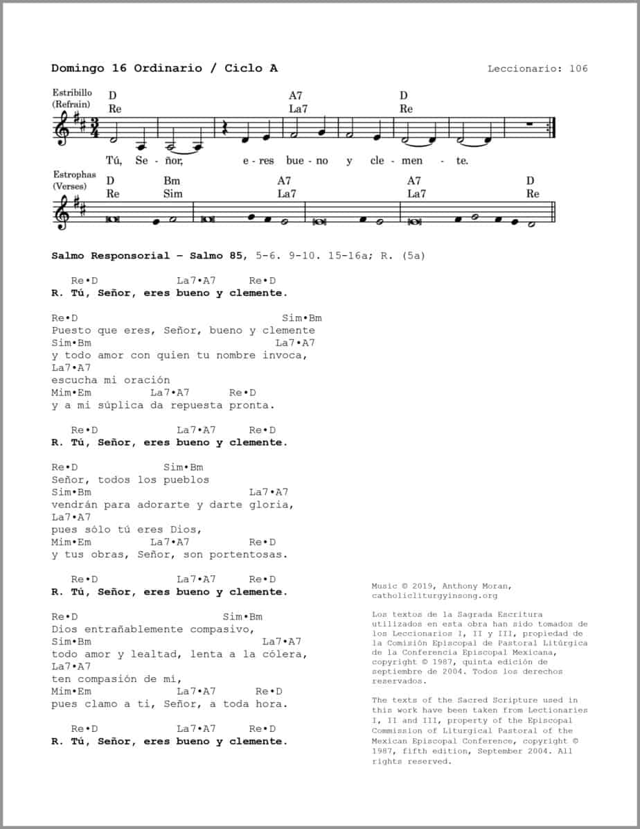 Domingo 16 Ordinario A - Salmo 85 - Tú, Señor, eres bueno y clemente - Image 2