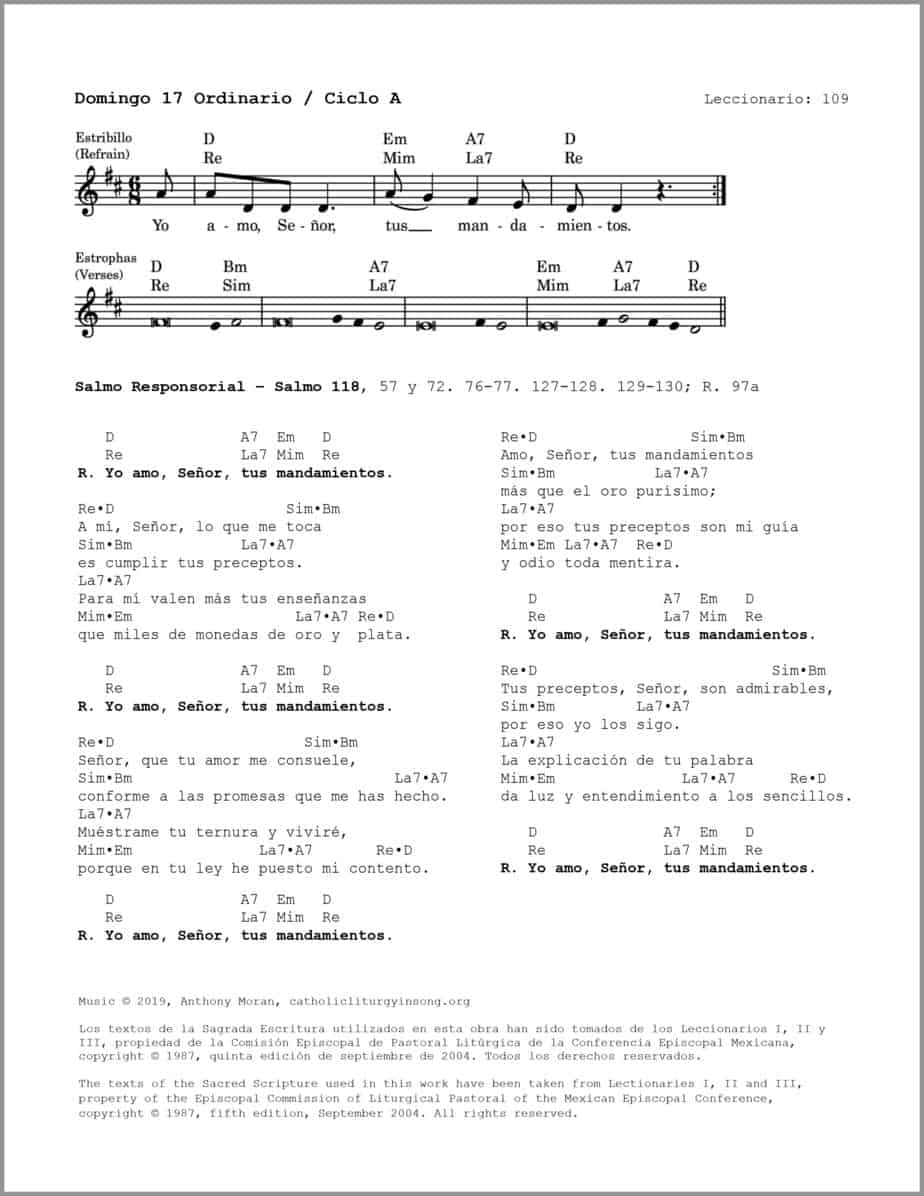Domingo 17 Ordinario A - Salmo 118 - Yo amo, Señor, tus mandamientos - Image 2