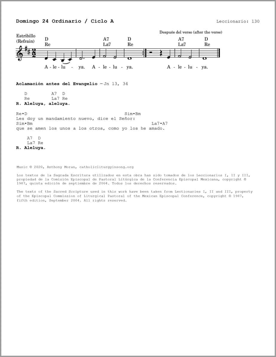 Domingo 24 Ordinario A - Salmo 102 - El Señor es compasivo y misericordioso - Image 3