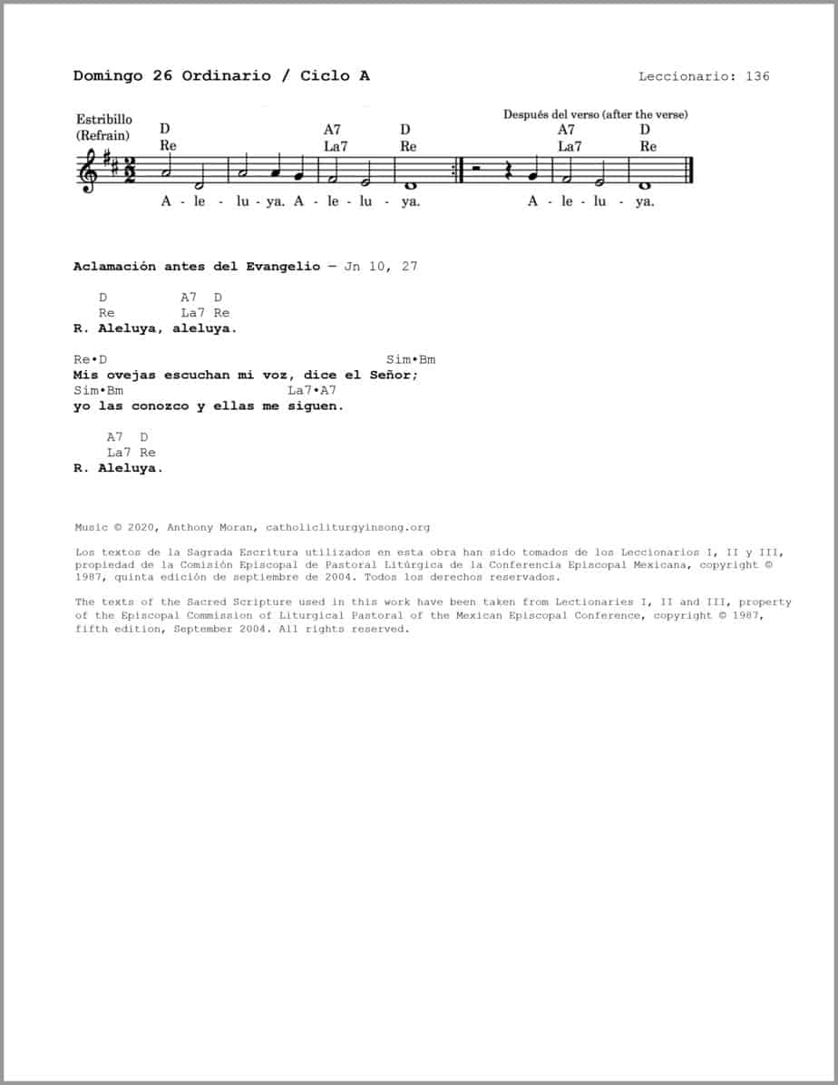 Domingo 26 Ordinario A - Salmo 24 - Descúbrenos, Señor, tus caminos - Image 3