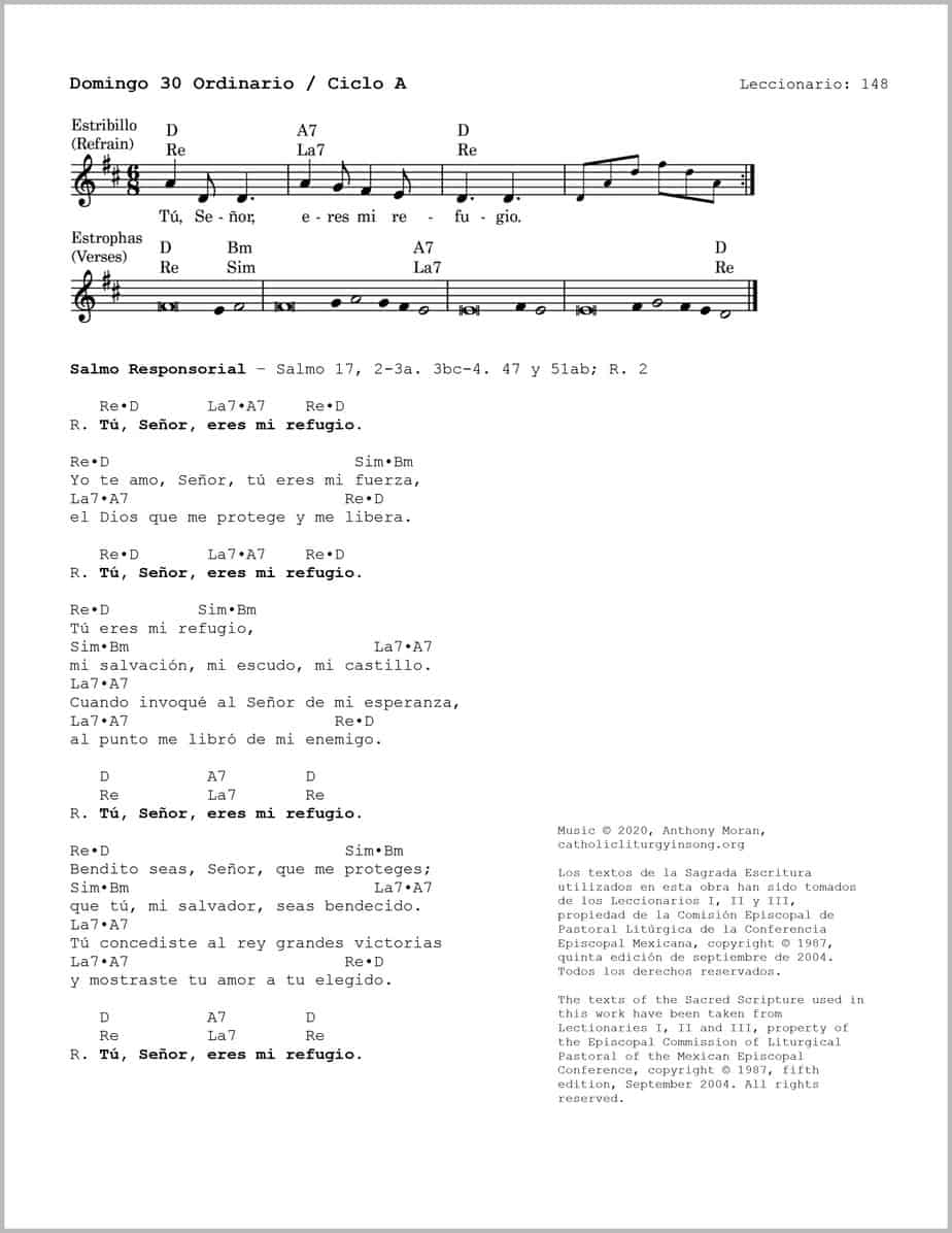Domingo 30 Ordinario A - Salmo 17 - Tú, Señor, eres mi refugio - Image 2